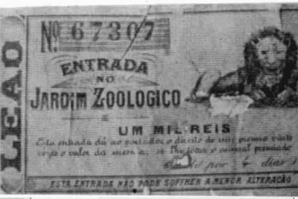 Como surgiu o jogo do bicho? A História Completa 3 história do jogo do bicho no brasil